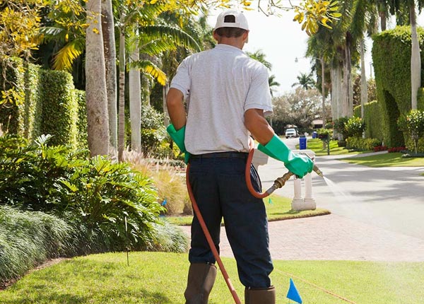 About Warwick NY Pest Control Pros